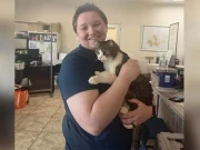 امریکی خاندان کو پانچ برس بعد گمشدہ بلی مل گئی