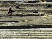 خیبرپختونخوا؛ اراضی میں جعلی انتقالات پر کارروائی، پٹواری سمیت 3 افراد گرفتار