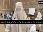 Express News