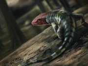 آدھا سانپ آدھا چھپکلی، اسکاٹ لینڈ میں عجیب و غریب جانور کی باقیات دریافت