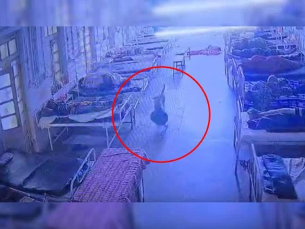 بھارت: کتا اسپتال سے لاکھوں کی مالیت کے زیورات لے کر بھاگ گیا