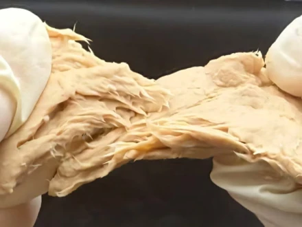 چینی سائنس دانوں نے مرغی کا متبادل گوشت تیار کر لیا!