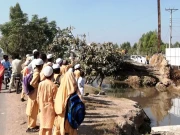 جب 50 سال پرانے برگد نے دوبارہ سانس لی، محکمہ جنگلات کا ریسکیو آپریشن