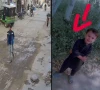 لاہور میں سی سی ڈی کی کارروائی، اغوا ہونے والا 3 سالہ بچہ چند گھنٹوں میں بازیاب