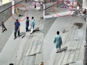 لاہور میں دیوار پھلانگ کر راہ گیر بچوں اور خاتون پر شیر کا حملہ، فوٹیج سامنے آگئی