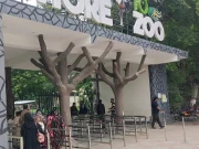 لاہورچڑیاگھر کا انتظام دوبارہ محکمے نے خود سنبھال لیا