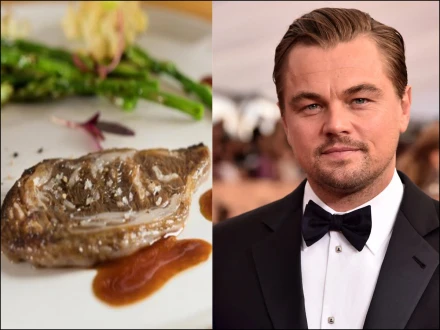 ایپسٹین فائلز، لیونارڈو ڈی کیپریو پر انسانی گوشت کھانے کا الزام، حقیقت کیا ہے؟