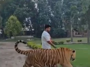 بغیر لائسنس شیر اور دیگر خطرناک جانور رکھنے والوں کیخلاف بڑے کریک ڈاؤن کا آغاز