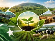 جدید جینیاتی ٹیکنالوجی، زرعی ترقی اور لائیو اسٹاک منصوبوں میں نمایاں پیشرفت