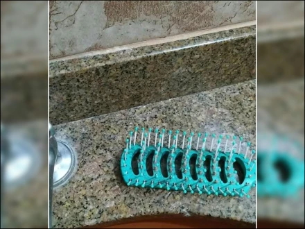 کیا آپ کو اس تصویر میں چھپکلی نظر آرہی ہے؟