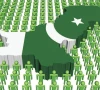 صوبے مقامی حکومتوں کو اختیارات منتقل کرنے میں بڑی رکاوٹ