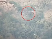 بھارتی فورسز نے لائن آف کنٹرول کے مزید 2 سیکٹرز پر گھٹنے ٹیک کر شکست تسلیم کرلی