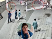 وزیراعلیٰ مریم نواز کا شیر کے حملے میں زخمی ہونے والوں کو فی کس پانچ لاکھ روپے دینے کا اعلان