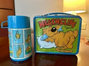 طالبہ کو 40 برس قبل کھویا ہوا لنچ بکس مل گیا