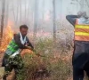 لوئر دیر کے جنگلات میں آگ بے قابو، آبادی کو خطرات لاحق