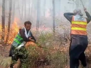 لوئر دیر کے جنگلات میں آگ بے قابو، آبادی کو خطرات لاحق