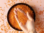 سویا اور دالوں کا استعمال ہائی بلڈ پریشر کا خطرہ کم کر سکتا ہے: تحقیق