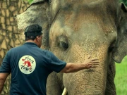 کراچی چڑیا گھر کی مدھوبالا کو آج سفاری پارک منتقل کیا جائے گا