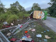 ملائیشیا میں عید الاضحیٰ کی تعطیلات سے واپسی پر بس حادثہ؛ 15 طلبا جاں بحق، 33 زخمی 