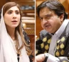 حنا پرویز میری بیٹیوں کی طرح ہے، اسپیکر پنجاب اسمبلی سوشل میڈیا مہم پر برہم