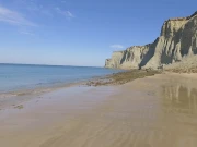 ڈبلیو ڈبلیو ایف کا حکومت سندھ سے مزید سمندری محفوظ علاقے قائم کرنے کا مطالبہ