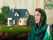 Express News