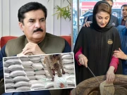 مریم نواز باکو میں روٹیاں لگا سکتی ہیں، پختونخوا کو  گندم کیوں نہیں دے سکتیں؟ گورنر کے پی