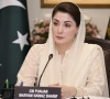 مولانا فضل الرحمان کی جانب سے دہشت گردوں کے پشت پناہوں کی حمایت افسوسناک ہے، مریم نواز