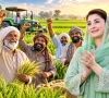 پنجاب کے کسانوں کیلیے خوشخبری، مریم نواز نے بڑا اعلان کردیا