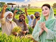 Express News