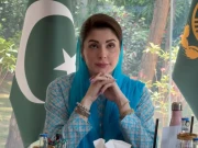 پنجاب کا بجٹ وزیراعلیٰ مریم نواز کے ماحول دوست ہونے کا عملی ثبوت