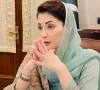 مریم نواز شریف نے بچوں کی جبری مشقت کے خاتمے کیلیے سٹیرنگ کمیٹی تشکیل دے دی