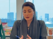 حکومت پنجاب نے  معدنیات و کان کنی کے لئے نیا جامع قانونی نظام متعارف کرادیا