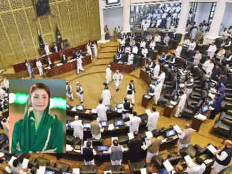 خیبرپختونخوا اسمبلی میں مریم نواز کے بیان کے خلاف قرارداد منظور، آرٹیکل 6 کے تحت کارروائی کا مطالبہ