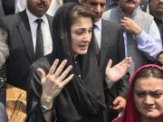 پہلی بار یوم عاشور پر بہترین انتظامات تھے، صفائی کے ساتھ نفرت کی گند بھی مٹائی گئی، وزیراعلیٰ پنجاب