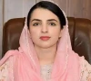 پی ٹی آئی رہنما سینیٹر مشعال یوسفزائی نے پارٹی گروپس چھوڑ دیے