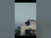 چھت پر پتنگ اُڑانے والا بندر سوشل میڈیا پر وائرل