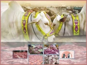 عید الاضحیٰ پر تقسیم گوشت اور ہماری ذمے داریاں