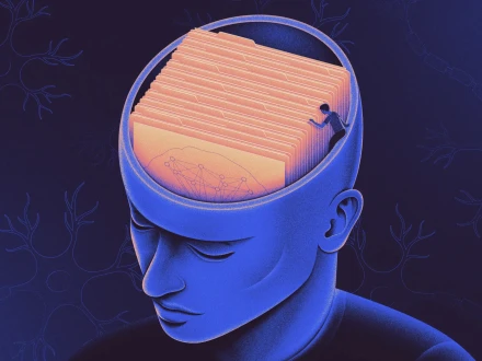 دماغ پرانی یادوں میں نئی معلومات کیسے شامل کرتا ہے؟