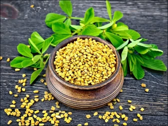 نہار منہ بھیگی میتھی کے بیج، صحت کےلیے قدرتی طاقت کا خزانہ