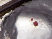 انسانی خلیے کے برابر لیگو کا ٹکڑا بنا کر شہری نے عالمی ریکارڈ قائم کرلیا