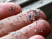 مائیکرو پلاسٹک سے نمٹنے کے لیے طریقہ کار دریافت