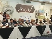 اسرائیل پر ایران کا جوابی حملہ جائز تھا، فلسطین کا دو ریاستی حل قبول نہیں، ملی یکجہتی کونسل