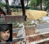 میر رضا قتل کیس: ڈی آئی جی عامر فاروقی کی سربراہی میں نئی تحقیقاتی کمیٹی تشکیل، نوٹی فکیشن جاری
