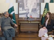 وزیر داخلہ سے قائم مقام امریکی سفیر کی ملاقات، پاکستان میں دہشت گردانہ حملوں کی مذمت