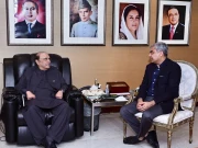 بلوچستان اور پختونخوا کی سیکیورٹی صورتحال پر صدر مملکت سے وزیر داخلہ کی ملاقات