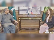  دہشتگردی سے نمٹنے کیلیے مل کر کام کرنا ہوگا، محسن نقوی