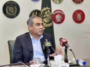 پاک بھارت کشیدگی؛ وزیر داخلہ آج خلیجی ممالک کے دورے پر روانہ ہوں گے