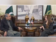 وزیر داخلہ سے امریکی سفیر کی ملاقات؛ خطے میں قیام امن کیلیے پاکستانی کوششوں کی تعریف