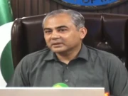 یو اے ای میں پاکستانیوں کو ویزے نہیں مل رہے، کویت اور اومان میں بھی مسائل ہیں، وزیر داخلہ